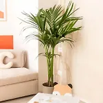 Appartamento Vibra Tahiti Comfort
